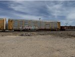 TTGX 965621